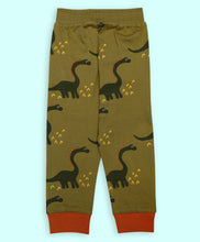 Load image into Gallery viewer, Ventra Sauropod Nightwear